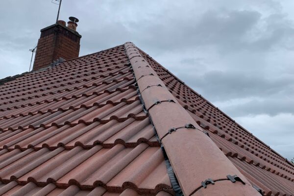 PHOTO-2022-06-28-17-19-47