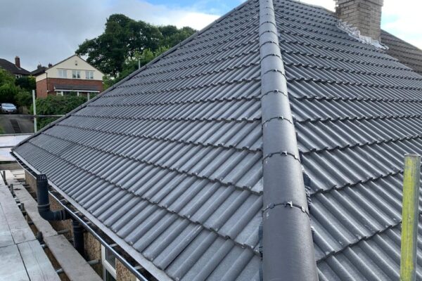 PHOTO-2022-07-25-18-11-23