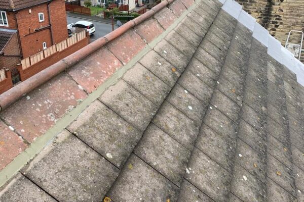 PHOTO-2022-07-29-13-14-38