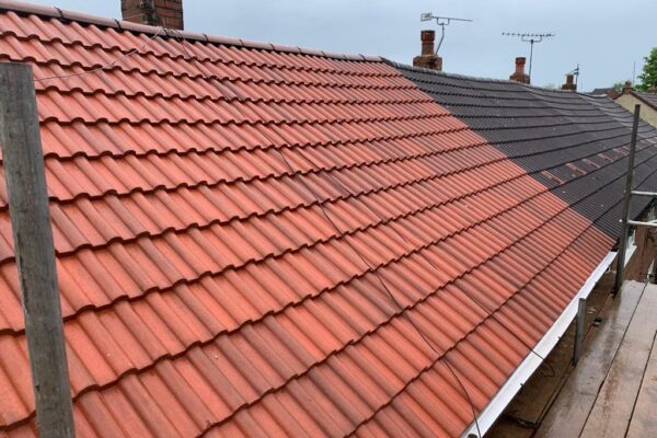 PHOTO-2023-05-15-11-19-43