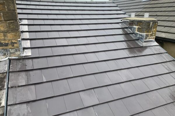 PHOTO-2023-06-01-11-59-04