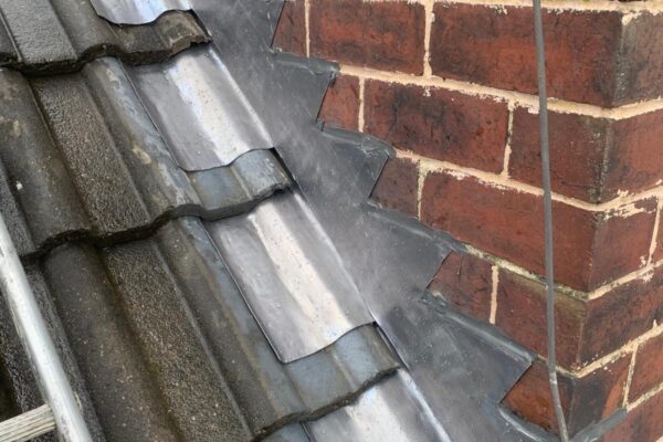 ed86d161-e5e9-42b7-8325-27f0337dbaa1